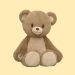 Build-A-Bear recalls roughly 36,000 Heart-Warming Hugs Bears